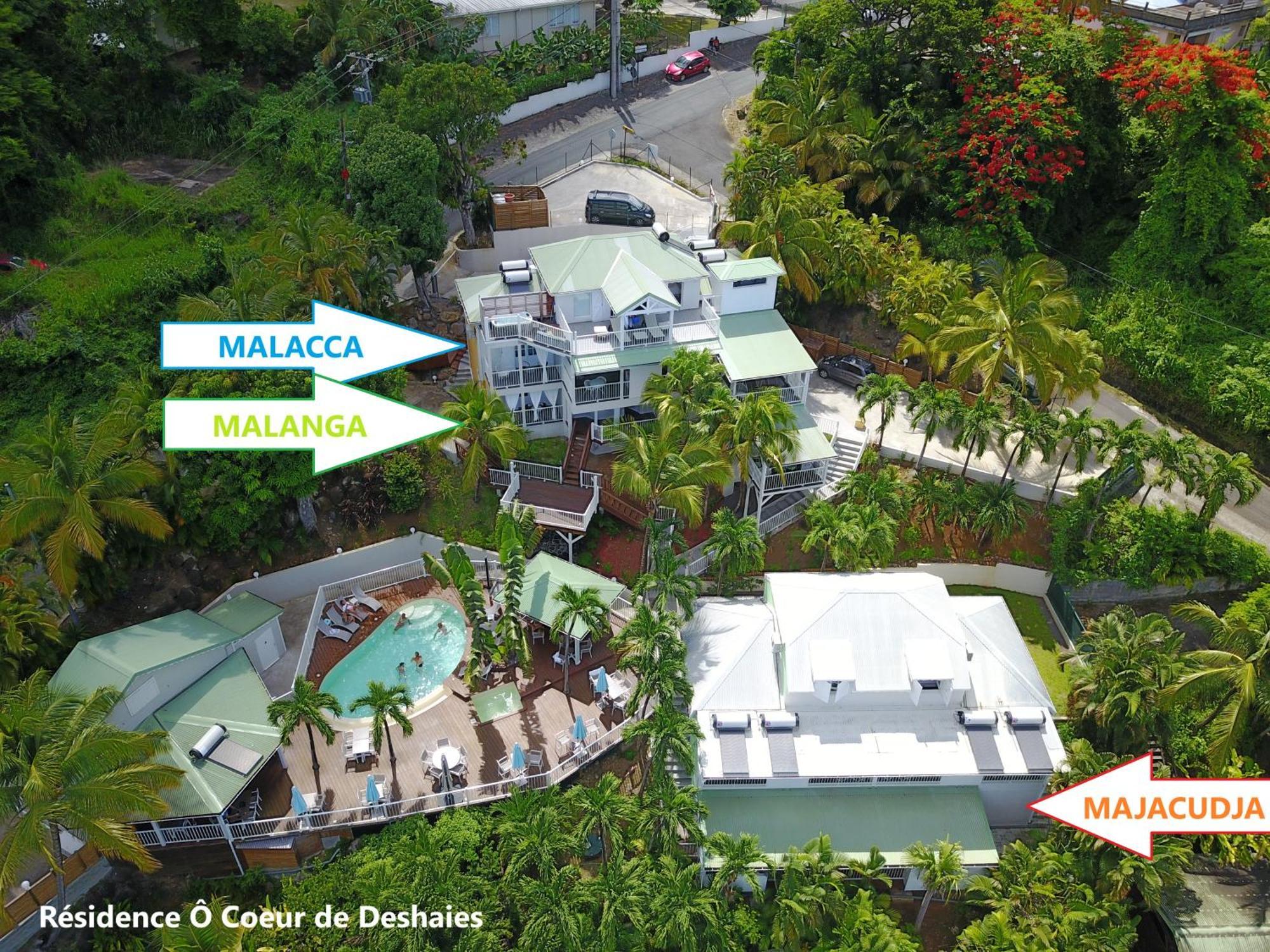 Studio Malacca, Malanga Et Majacudja - O Coeur De Deshaies Exterior foto